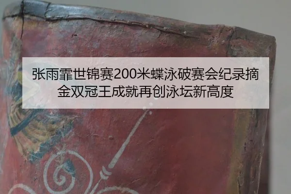 zhang-yu-fei-shi-jin-sai-mi-die-yong-po-sai-hui-ji-lu-zhai-jin-shuang-guan-wang-cheng-jiu-zai-chuang-yong-tan-xin-gao-du-3-540.jpg