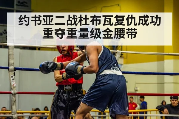 约书亚二战杜布瓦复仇成功重夺重量级金腰带